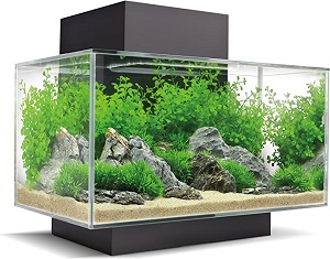 Fluval Edge Nano Acuario